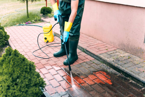 Best Factory Floor Cleaning  in Bicknell, IN
