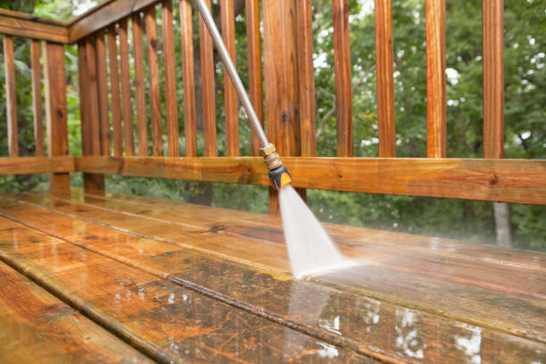 Best Gutter Cleaning  in Bicknell, IN
